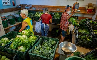 veggie-crate