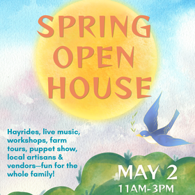 Rendition object (300)