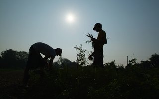 farmer silhouettes