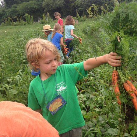 Rendition object (255)